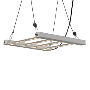 G Bars 170 dimmable scaled 1