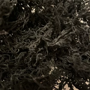 Sea Moss Green St.Lucia