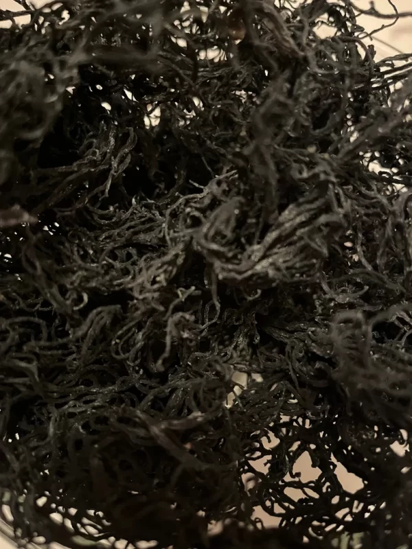 Sea Moss Green St.Lucia