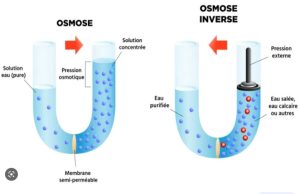 osmose inversie