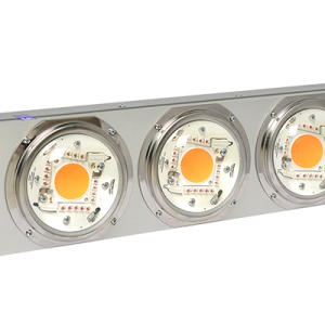 Blast 400 Plus Transparent
