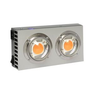 Starter 250 Transparent