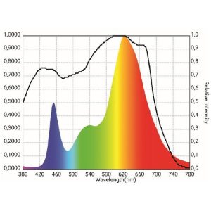 Starter 250 Wave Chart