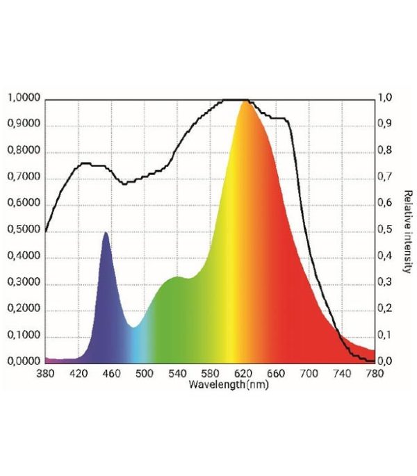 Starter 250 Wave Chart