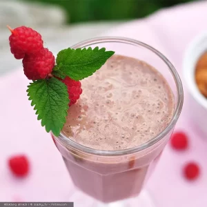 54001 03 leckere Smoothies mit dem Personal Blender PB250