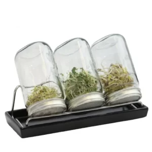 Eschenfelder | kiemglas | 3x1000ml | Met houder en druppelschaal | antraciet | Gratis Verzending