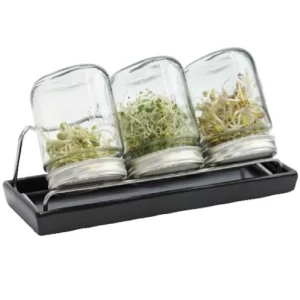 Eschenfelder | kiemglas | 3x750ml | Met houder en druppelschaal | antraciet | Gratis Verzending