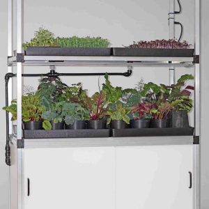 Kitchenfarm XL 4 scaled 1