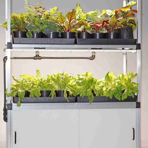 Alternative view of G-Tools | KitchenFarm XL | 162x118x50cm | Microgreens kweek- en presentatierek | Volautomatisch
