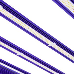 ZEUS1000WPRO31 02 min afbeelding 4