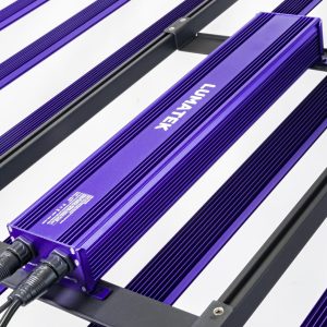 ZEUS1000WPRO31 03 min afbeelding 3