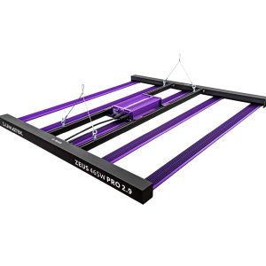 ZEUS465WPRO29 02 min