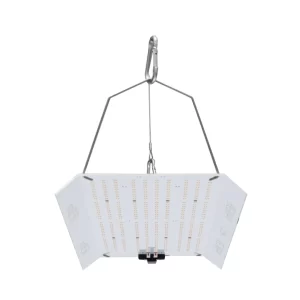 Hortione 592 hangend