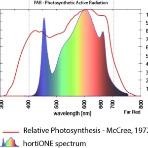 spectrum hortione
