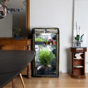 5425030267905 secret jardin gr60 the original 60 complete kweektent set ideaal voor thuis stil lichtdicht en veilig