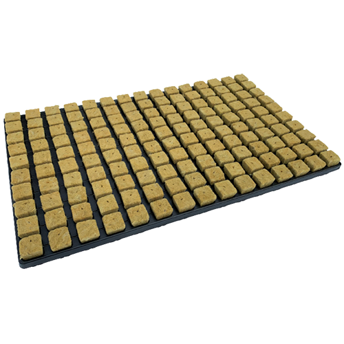 Cultiwool stektray | 150 vaks | 2x2x4 cm | 18 trays p/d | Steenwol