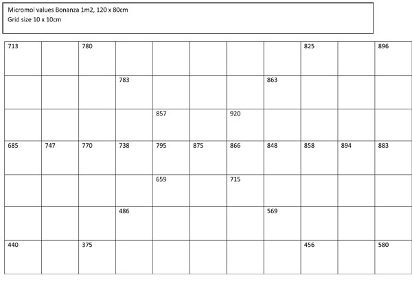 Raster-indeling-Bonanza-1m2-hps-600-Azer